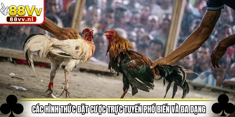 Các hình thức đặt cược trực tuyến phổ biến và đa dạng