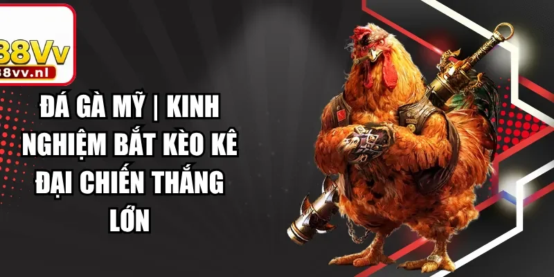 Đá Gà Mỹ