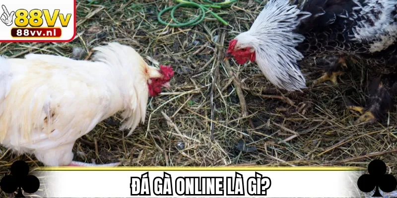 Đá gà online là gì?