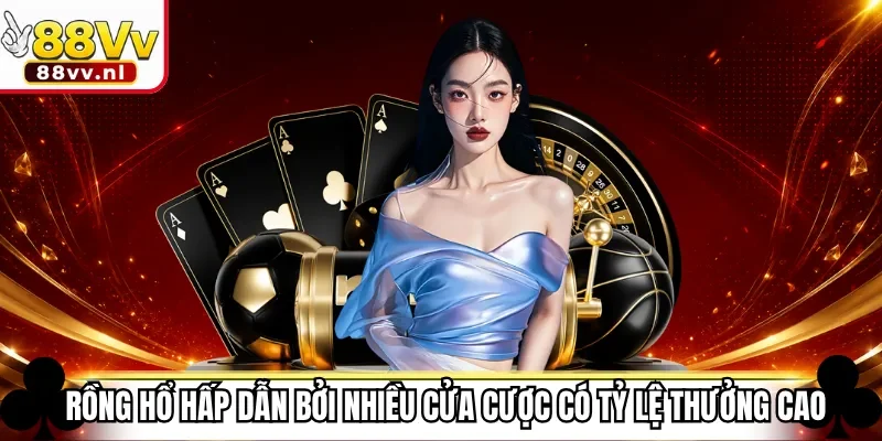 Rồng hổ hấp dẫn bởi nhiều cửa cược có tỷ lệ thưởng cao