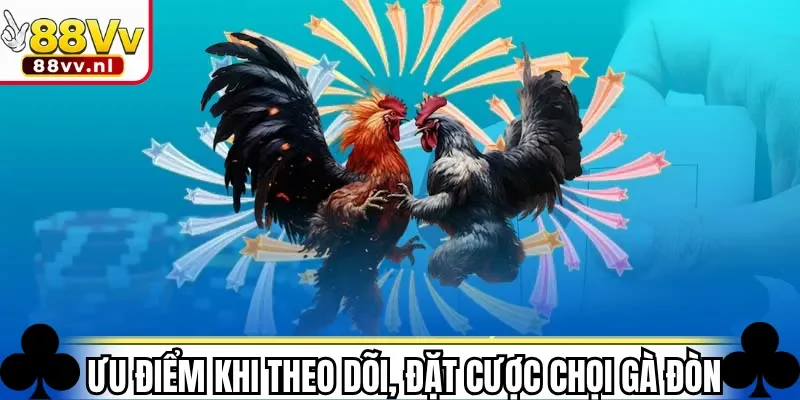 Ưu điểm khi theo dõi, đặt cược chọi gà đòn